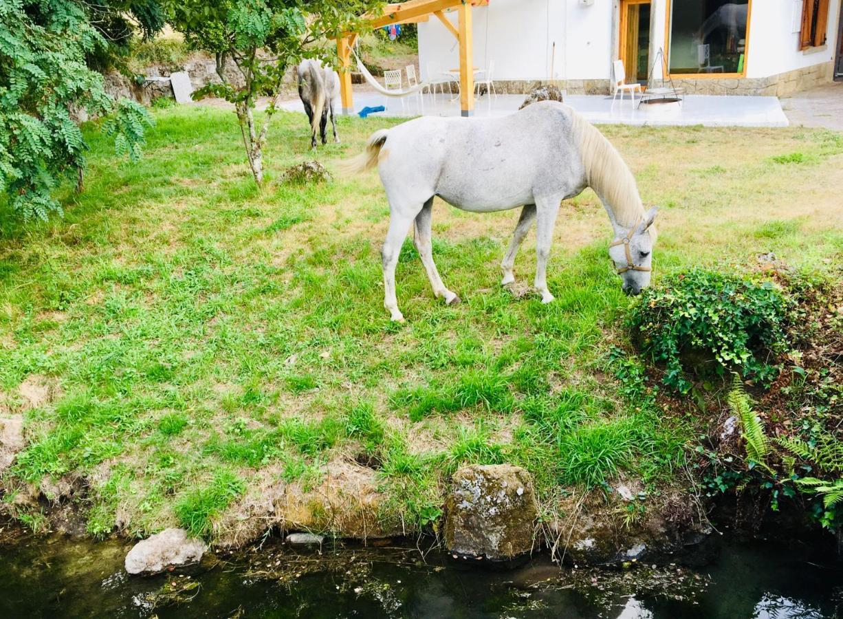 Briabi Lodge